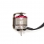 NSR Brushless motor V1 for ISRA Eurosport categories NSR Brushless motor V1 for ISRA Eurosport categories